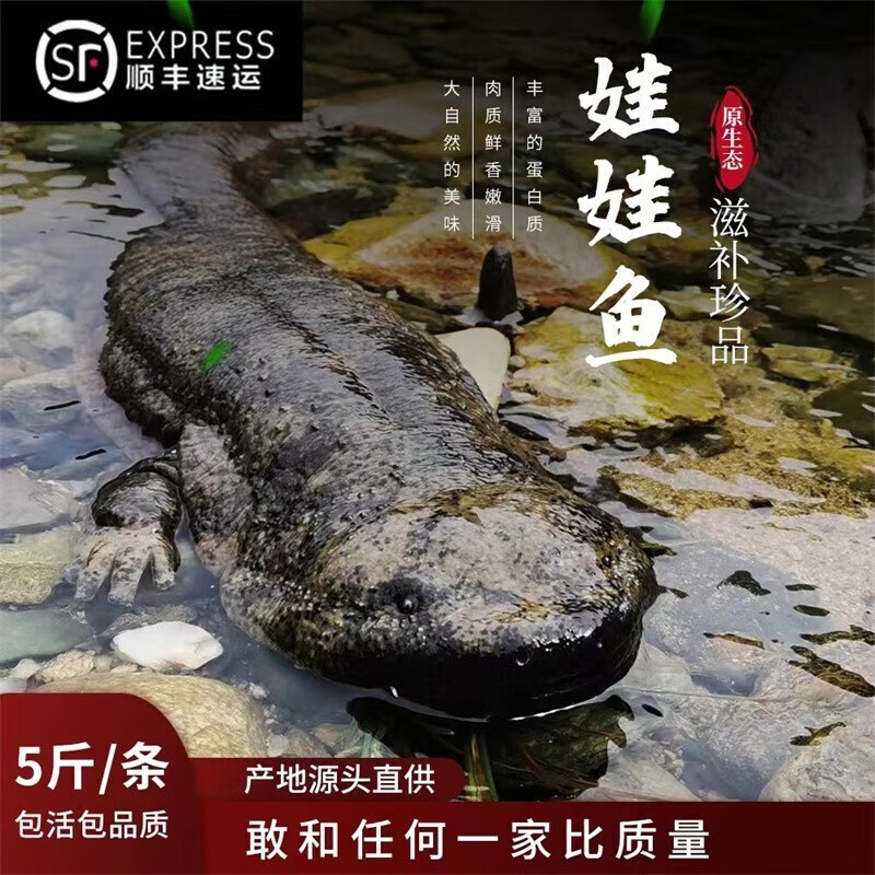 怎么看鱼类的历史价格|鱼类价格走势