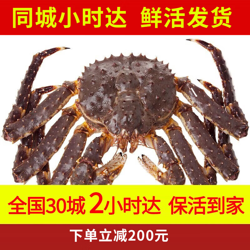 【活鲜】喵和渔 鲜活帝王蟹帝皇蟹俄罗斯进口大螃蟹海鲜阿拉斯加 3.1-3.5斤/一只 （鲜活发货）