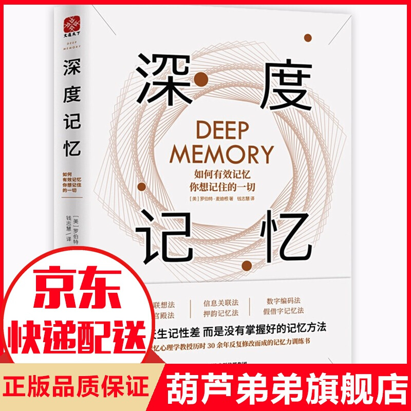 深度记忆 非常有效的记忆方法论 高效的记忆方法法则 记忆力训练教程教材 记忆心理学书籍