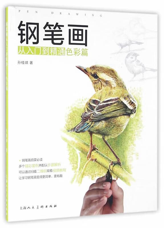 钢笔画从入门到精通—色彩篇 孙桂琪 著 