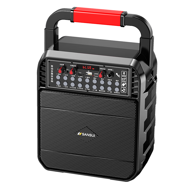 山水（SANSUI）SS20無線藍(lán)牙音響手提便攜家用戶外K歌演出廣場舞音箱大功率重低音大音量唱歌聲卡播放器  頂配版 32G優(yōu)盤	