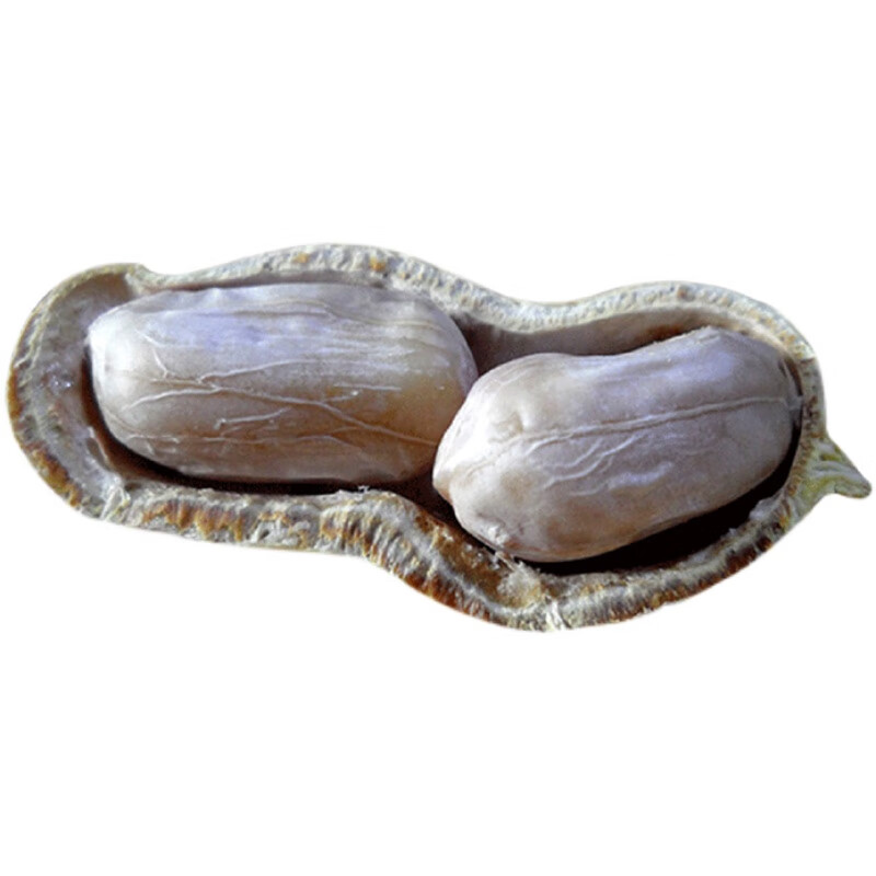 回味姥姥正宗福建龙岩大池水煮花生白晒盐咸干熟原味带壳花生特产零食