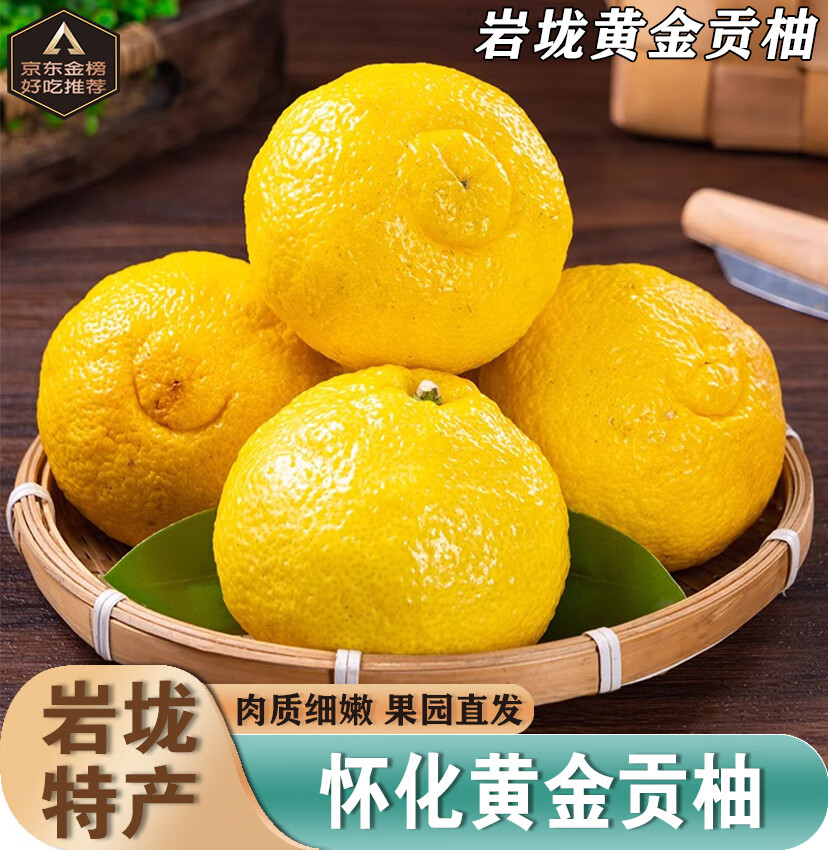南步黄金贡柚 湖南怀化10斤岩垅特产春香桔柚象山青柑橘桔子新鲜水果 净重4.5斤 果王【约9-10个】