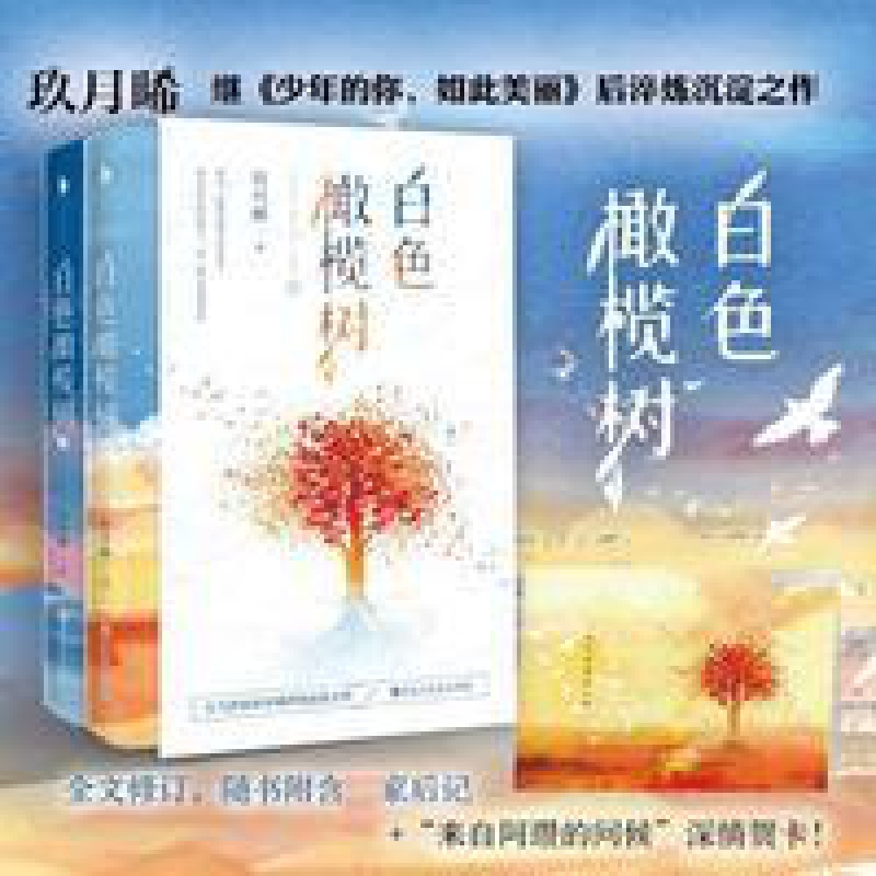 正版白色橄榄树玖月晞书店青春都市言情爱情小说书籍 白色橄榄树