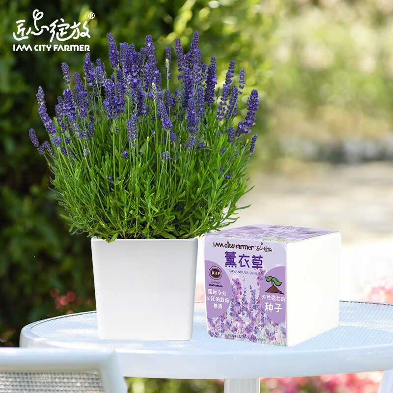 绿植盆栽价格走势曲线|绿植盆栽价格比较