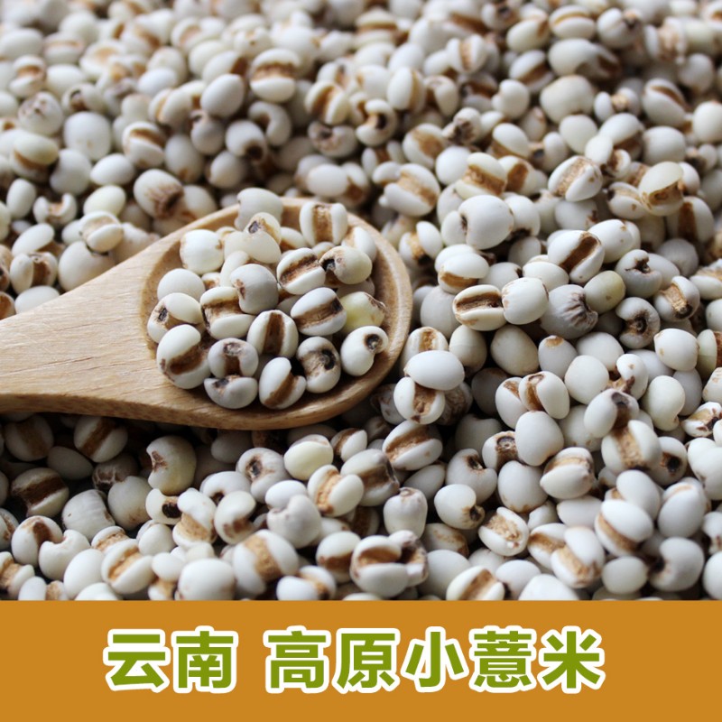 云南小薏米新货薏仁薏苡仁五谷杂粮农家自产500g【优选】 图片色