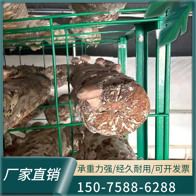 mexueer定制适用蘑菇种植架食用菌架子香菇层架出菇架大棚菌棒培养