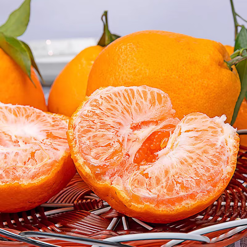 酷果汇春见粑粑柑新鲜现摘水果甄选品质彩箱礼品盒装产地直发5/8斤装 净重8斤【性价比高-全家爽吃】85MM+