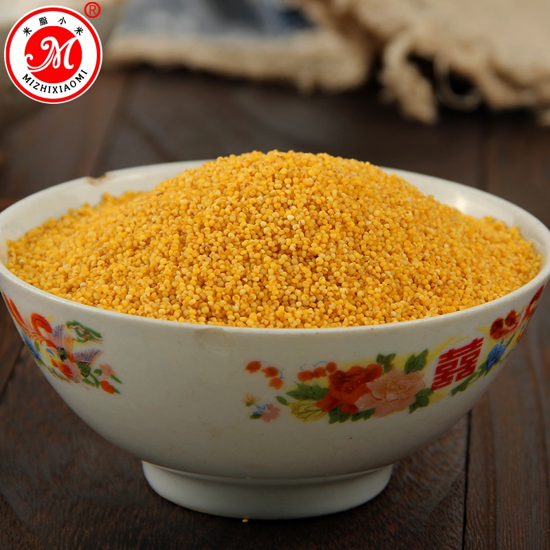 舌尖上的貂蝉 陕北油小米农家特产杂粮 黄小米小米粥 月子米 5斤实惠