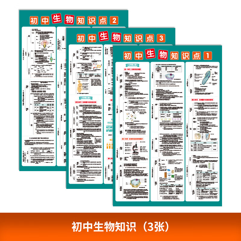 初中生物地理重点知识点大全总结归纳复习资料知识清单表挂图墙贴