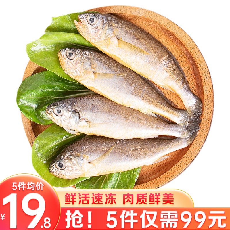 好拾味东海小黄鱼500g/10~11条 冷冻生鲜鱼类海鲜水产黄花鱼整条活鲜速冻 烧烤食材