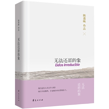 无法还原的象 陈嘉映【正版书】