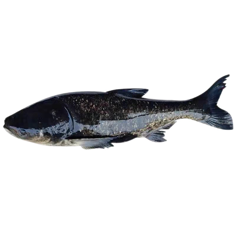 �g��������ǧ�������� ������ͷ�������������������� 5-40������� �����(�ɿ��˳��У� 20��