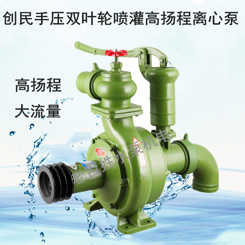 定制双叶轮手压高扬程离心泵大流量高压喷灌水泵农用拖泵抽水议价 3寸