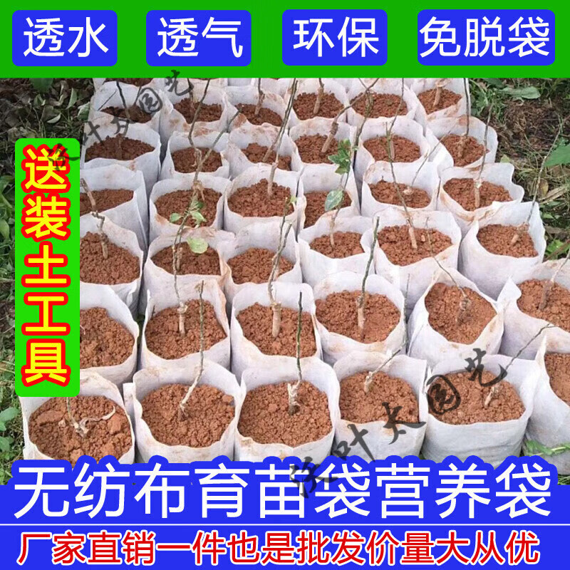 袋无纺布育苗袋可降解营养袋加厚营养杯植树袋花盆育苗容器杯 8*10