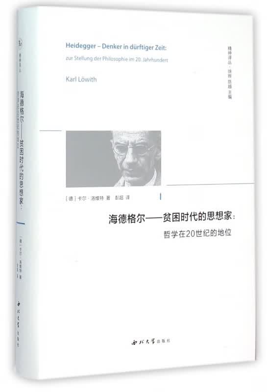 海德格尔--贫困时代的思想家(哲学在20世纪的地位)(精)/精神译丛