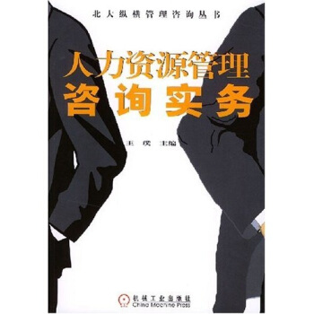人力资源管理咨询实务 王璞 著【书】