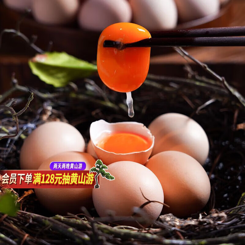 杨博士【初生蛋】高山散养土鸡蛋走地鸡谷物母鸡头窝蛋初生蛋 源头
