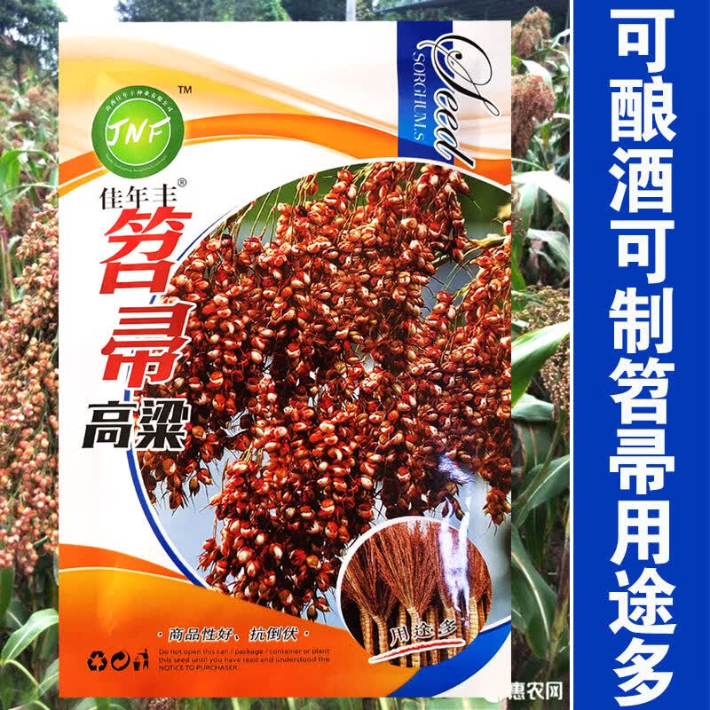 秋颖笤帚糜子种子扫帚红高粱种籽甜高粱北方甘蔗酿酒食用牧草庭院扫
