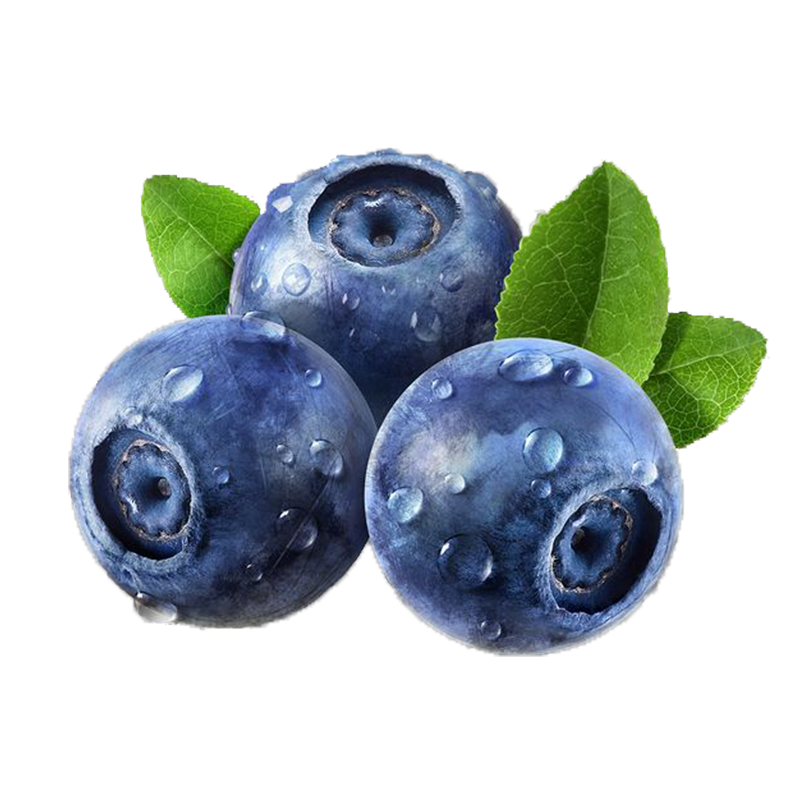 ����������ݮ ��������ʱ������ˮ����� 4��װ*����100g �����𳬴��������20mm+ 49.9Ԫ