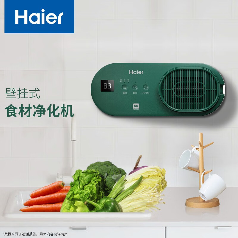 海尔（Haier） 果蔬清洗机壁挂式家用洗菜机蔬菜水果鱼肉虾食材净化机 绿色 HJ-756A