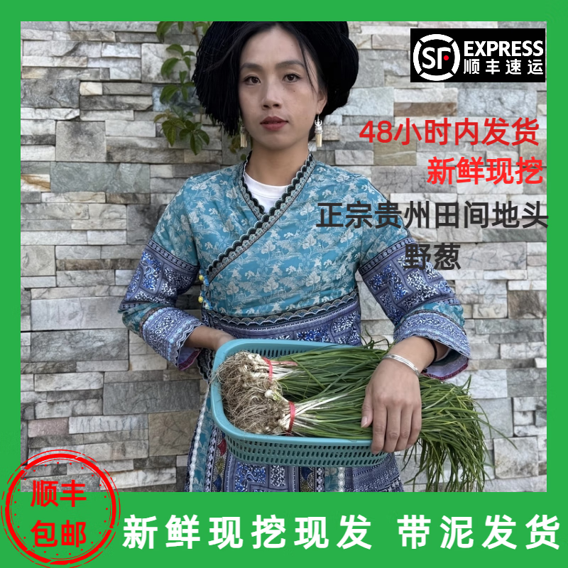 【3斤顺丰货】贵州乡下田间地头野生野葱苗现挖现发小根葱苦蒜苗 3斤 野葱苗带泥发货