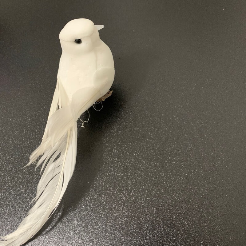 小白鸟羽毛鸟摆件桌面装饰仿真白色小鸟鸟窝文艺复古拍照道具 小白鸟1