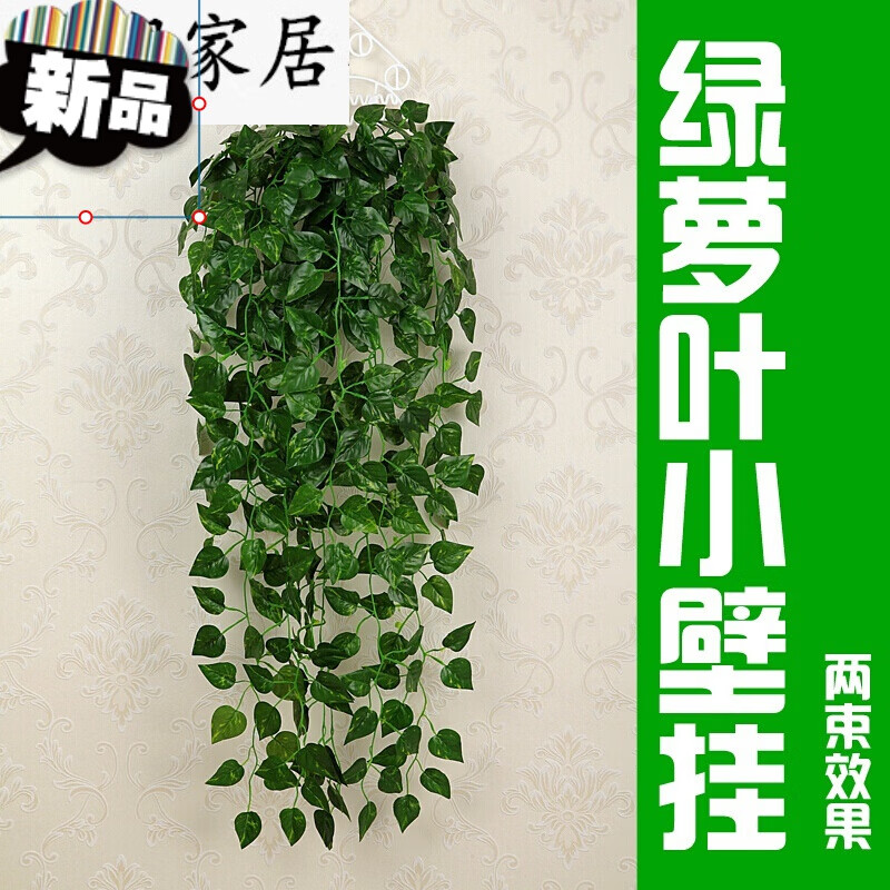 布绿萝叶2束(没花篮价格)