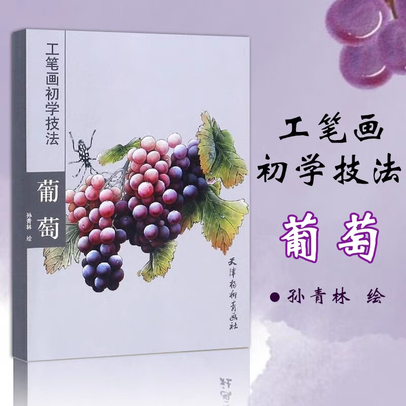 工笔画初学技法 葡萄 国画写意葡萄入门教程书籍葡萄画法步骤详解蔬果