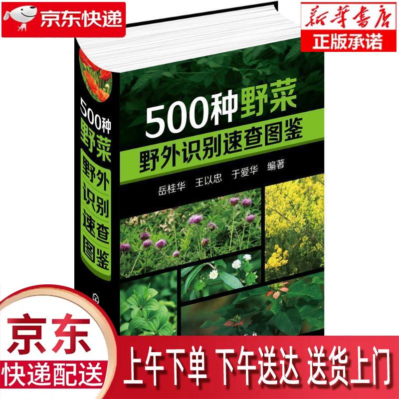 【新华正版】 500种野菜野外识别速查图鉴 岳桂华，王以忠，于爱华 化学工业出版社 岳桂华,王以忠,