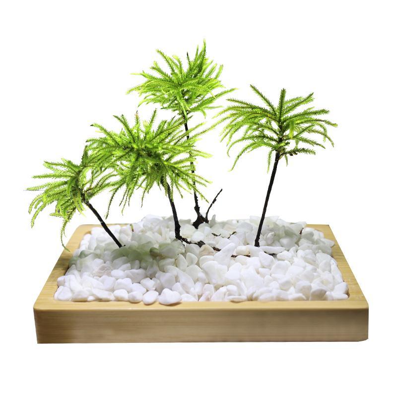 鱼草 相关京东优惠商品 7 价格图片品牌优惠券 虎窝购