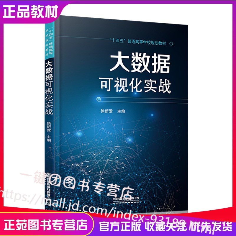 新书 大数据可视化实战 徐新爱著 大数据技术数据分析书籍 十四五普通高等学校规划教材数据处理