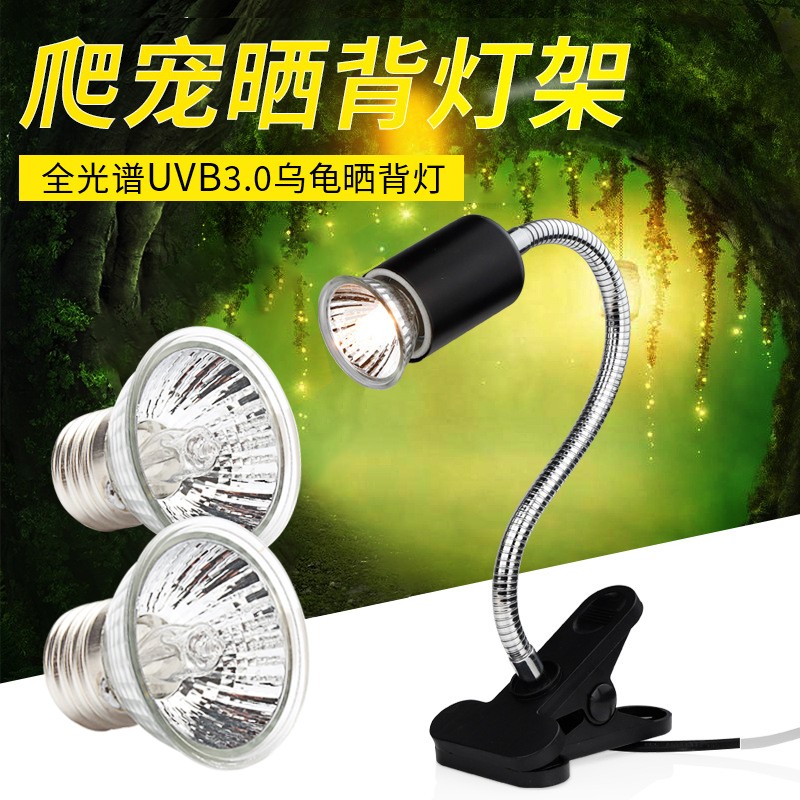 哪里可以看到京东爬宠用品商品的历史价格|爬宠用品价格比较