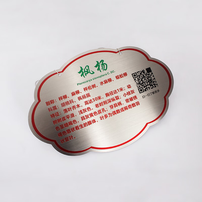 树节树牌腐蚀刻字金属标签吊牌定制绿植名称挂牌制作苗木植物介绍标牌