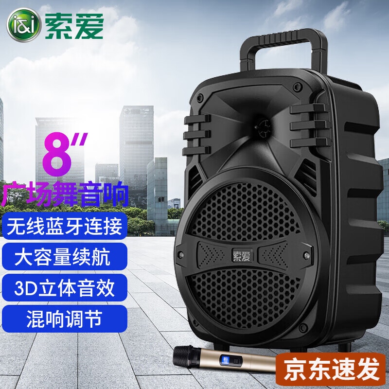 索爱（soaiy） 音响蓝牙音箱影响低音炮带话筒便携超大音量户外广场舞带显示屏小型唱歌大功率重低音 T15单话筒 官方标配