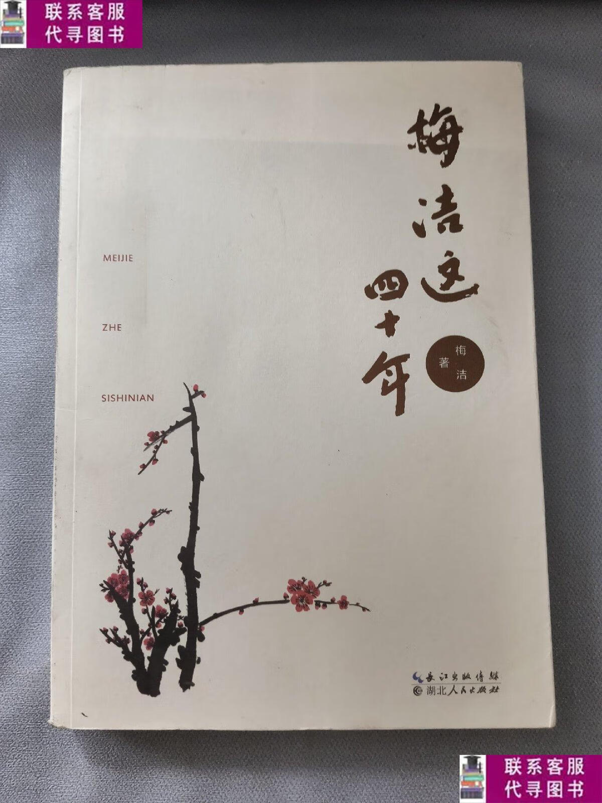 【二手9成新】梅洁这四十年 作者 /梅洁 湖北人民出版社