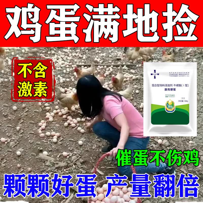 下蛋专用母鸡多下蛋增蛋宝蛋多多鸡鸭鹅芦丁鸡家禽产蛋通用饲料 三袋