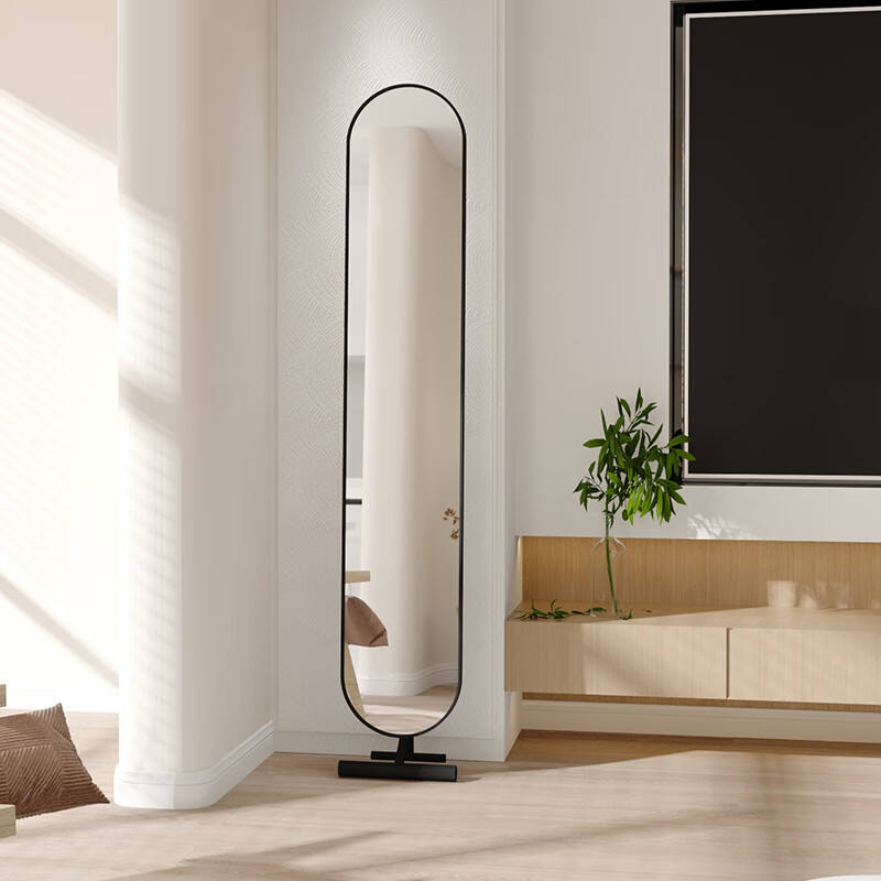 妙普乐意式极简试衣镜 轻奢穿衣镜全身镜意式落地镜子ins家用卧室高清