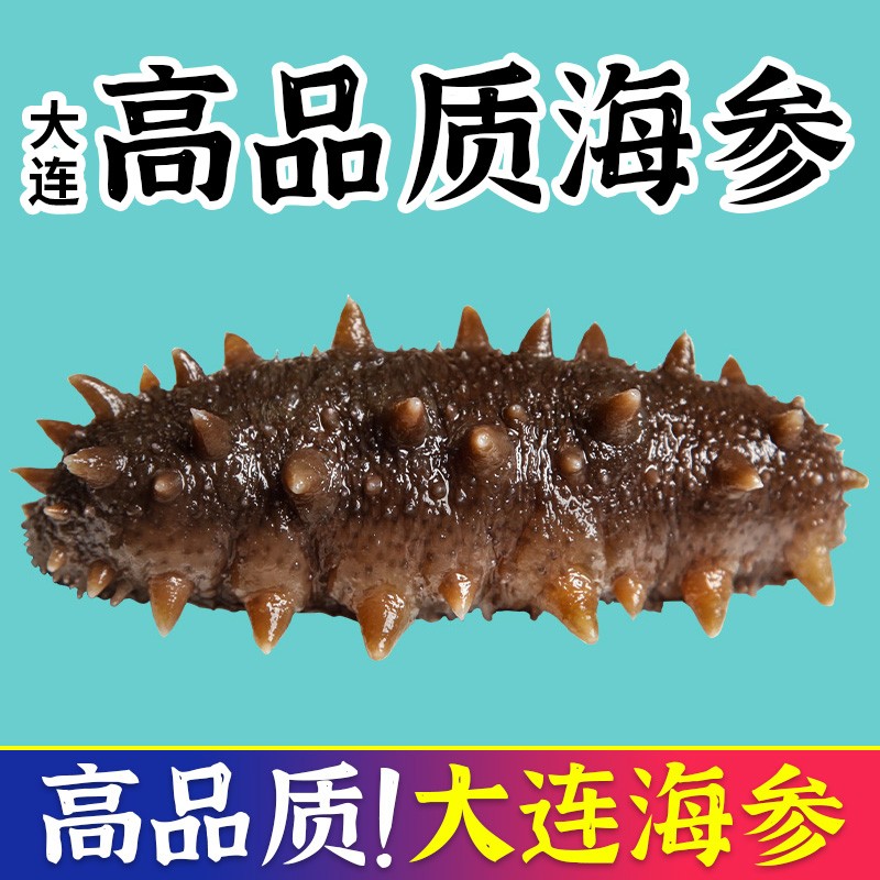 三只海豚 即食海参 大连海参单个装辽刺参 野生辽刺参开袋即食海参500g 专属优惠500g（31-50只/斤）