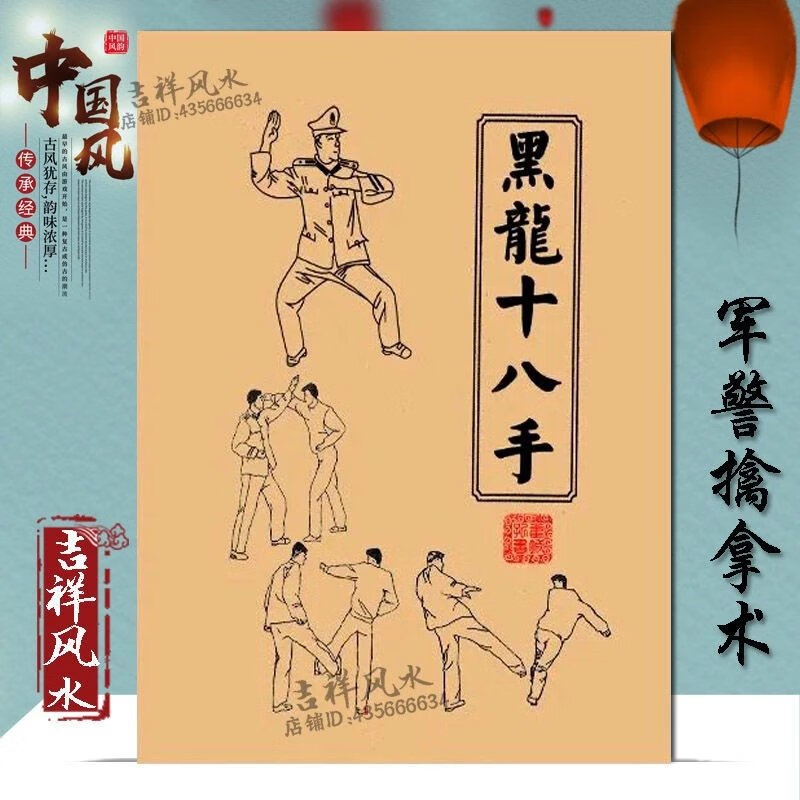 黑龙十八手擒拿术军体拳格斗术组合防身术反擒拿招式训练实战功法