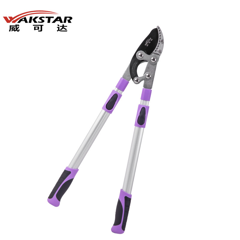 ���ɴ� ��������֦��԰�ֹ���ʡ��SK5��ͷ ������-��������������ǿ����