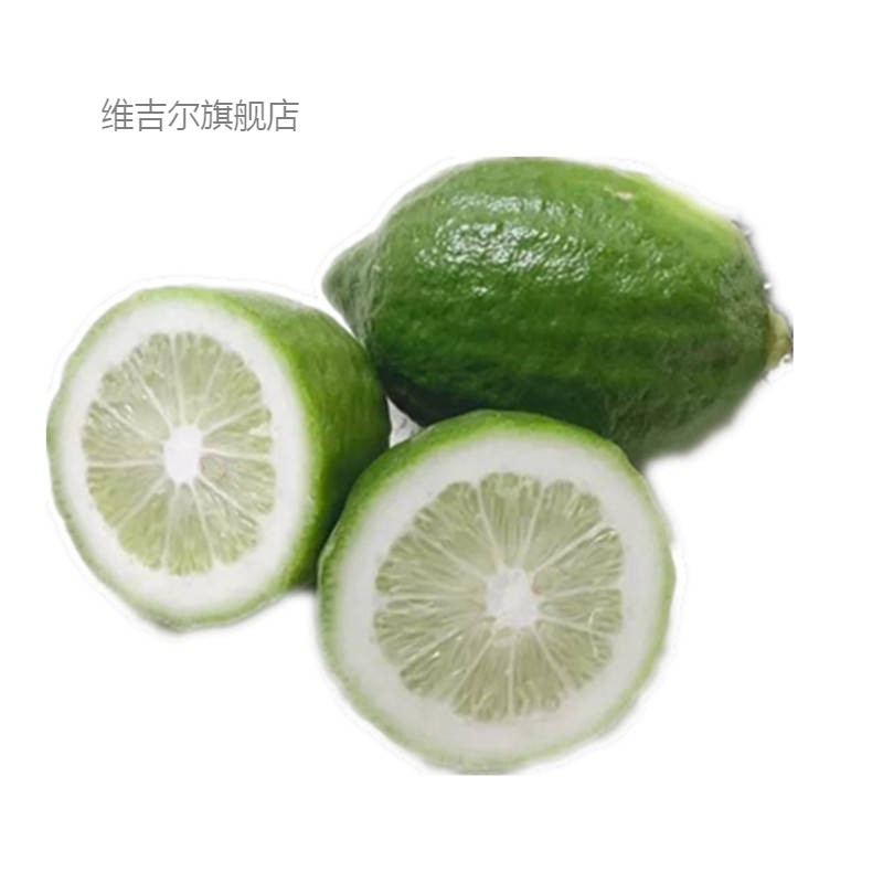 柠檬奶茶专用新鲜现摘现发 广东无籽香水柠檬【一斤装一级青皮果】