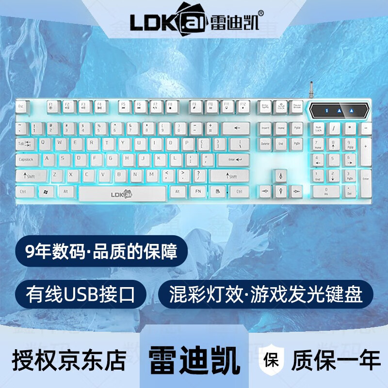 雷迪凯（LDK.al）有线键盘 家用商务办公键盘 机械手感吃鸡游戏电竞炫酷背光发光电脑笔记本台式机通用USB键盘104键 R260白色蓝光【发光款】