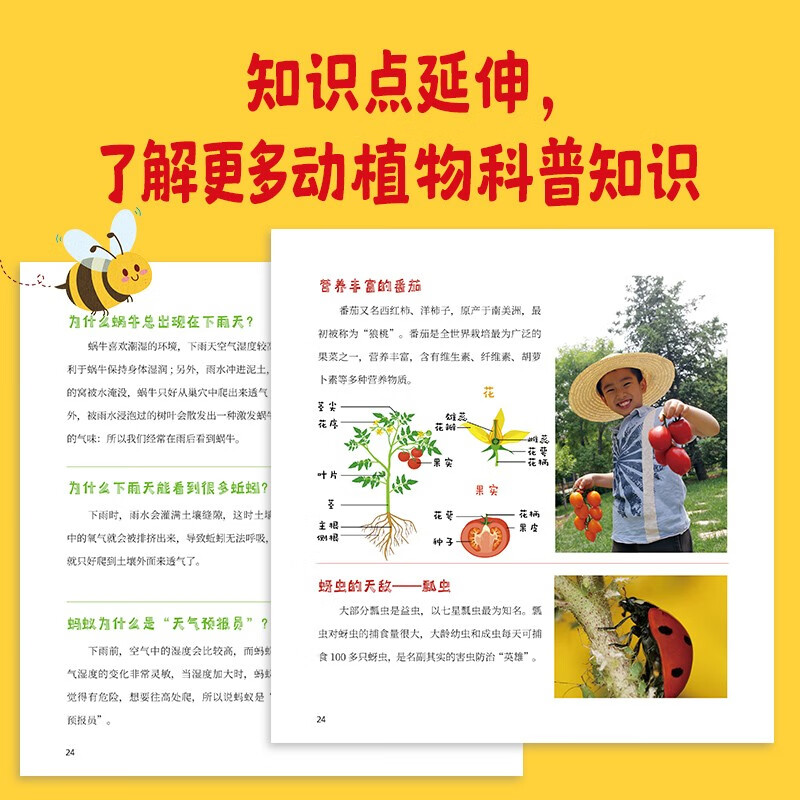 科学的种子：夏天的歌3-8岁儿童百科认识科学概念 养成科学思维 激发科学探索欲详情图