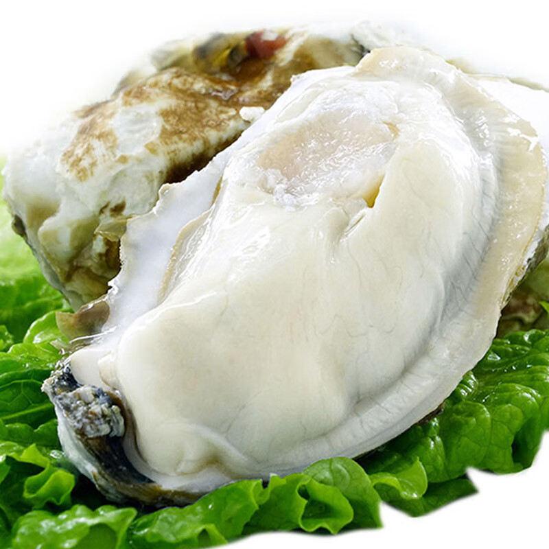只只红生蚝肉鲜活冷冻现剥去壳海鲜即食海蛎子牡蛎肉 1斤装