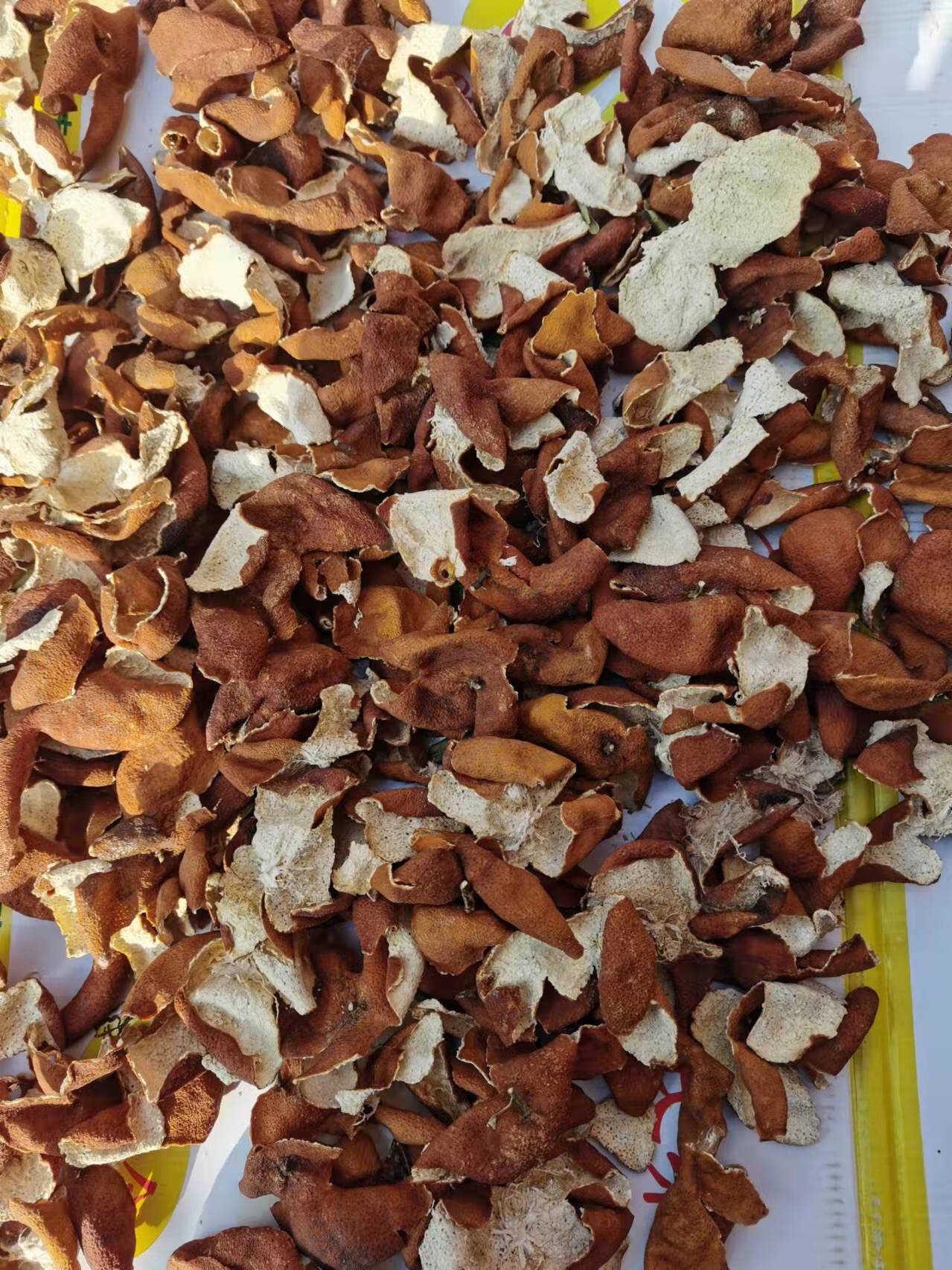 四川老树红橘陈皮大红袍川橘正宗橘皮农家晒风农产品土特产 500g 四川