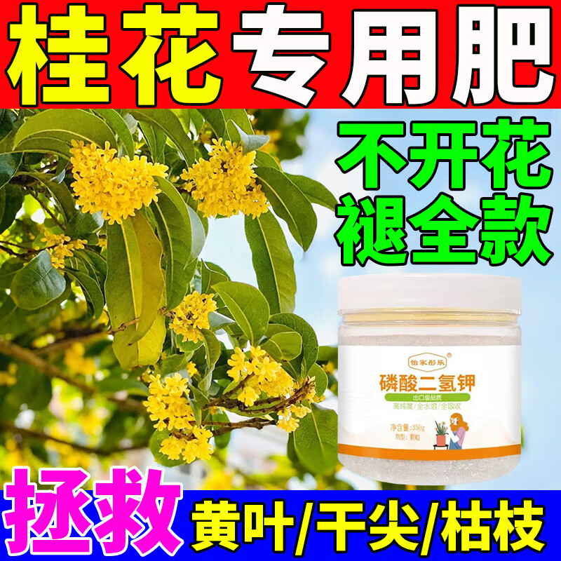 桂花树肥料专用枯叶斑病干叶焦尖落黄叶花专用药营养液盆栽叶面肥 三