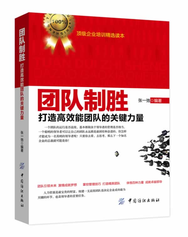 团队制胜 打造高效能团队的关键力量 张一弛【正版图书,放心购买】