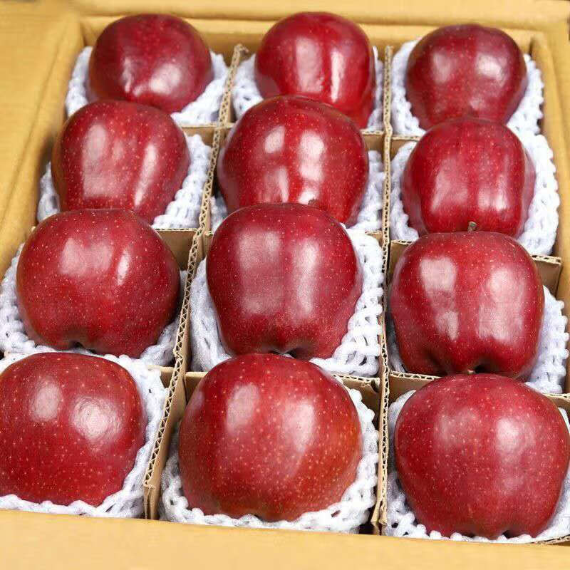 皓谦苹果花牛蛇果大果新鲜当季水果 2斤试吃装