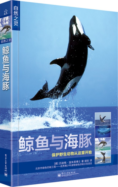 鲸鱼与海豚【正版图书】